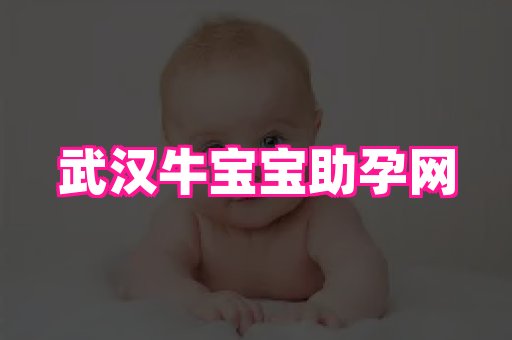 潍坊助孕网 4